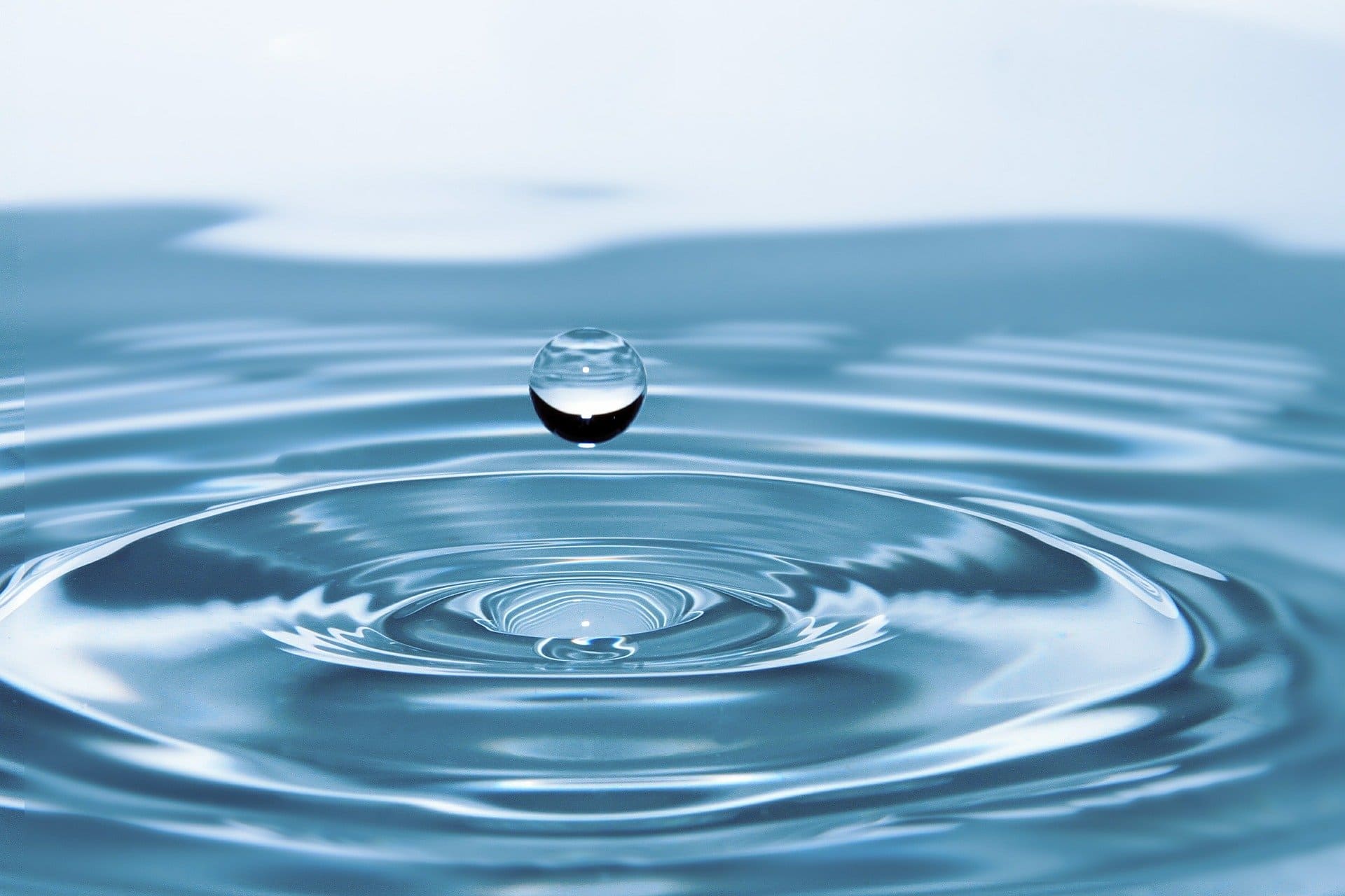 Read more about the article La qualité de l’eau